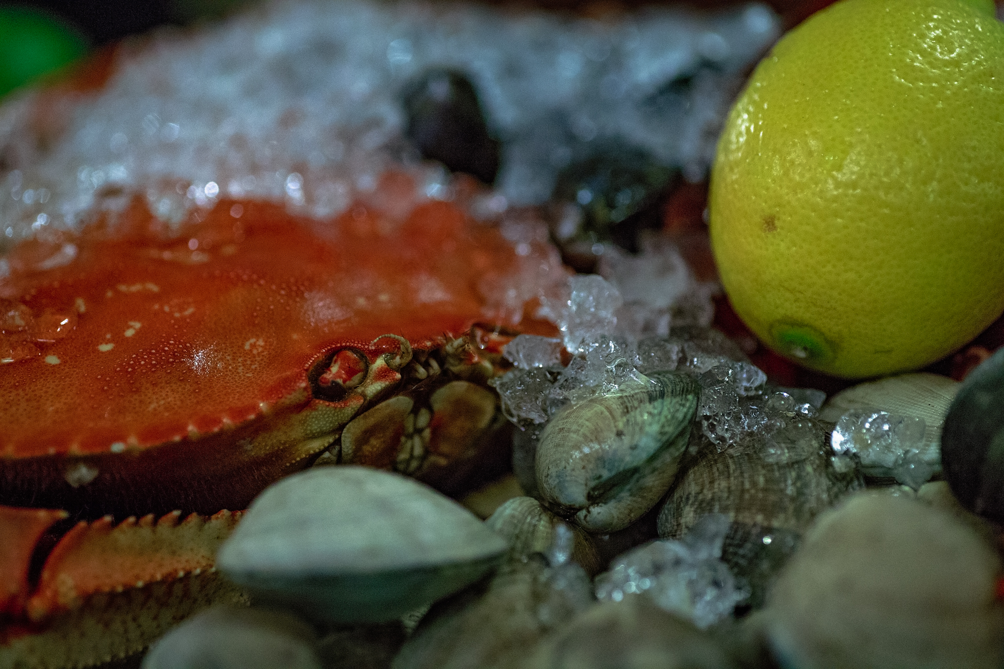 2018_0119_Dine_Out005.jpg