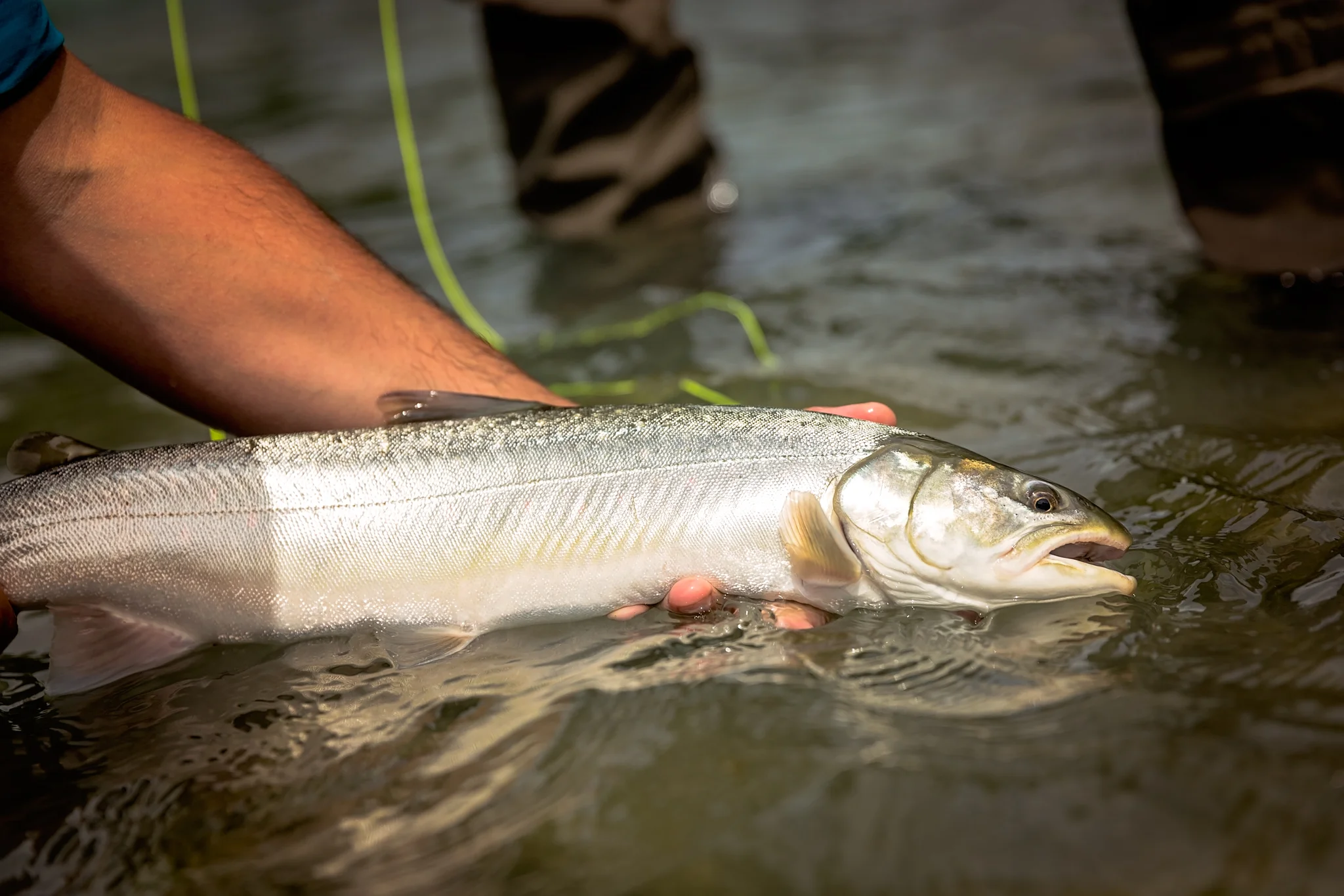 2017_0724_Heli_Fishing_064.jpg