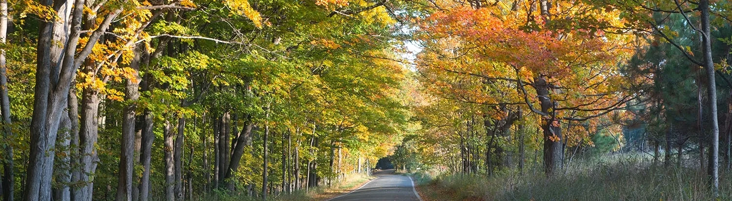 Autumn.jpg