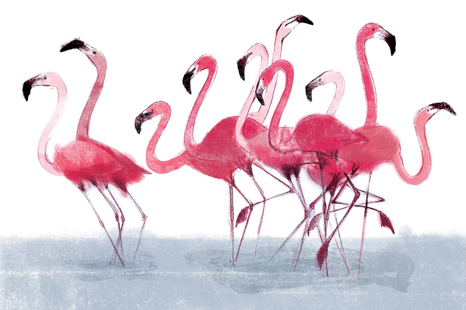 beckybrown-website-flamingo.jpg