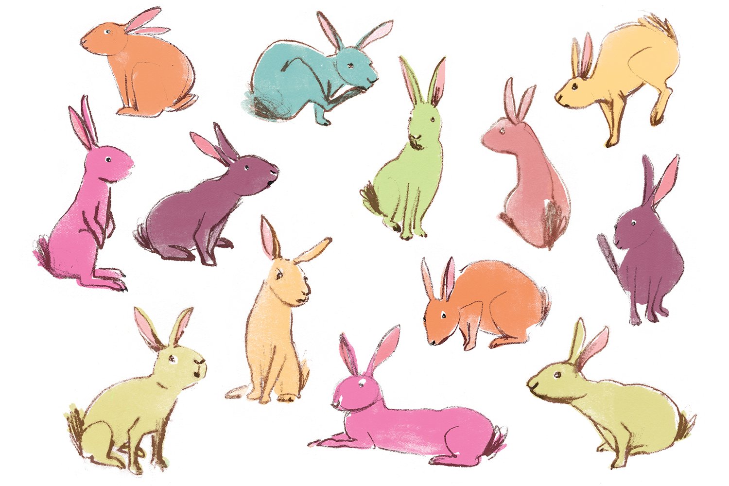 Rabbit character studies