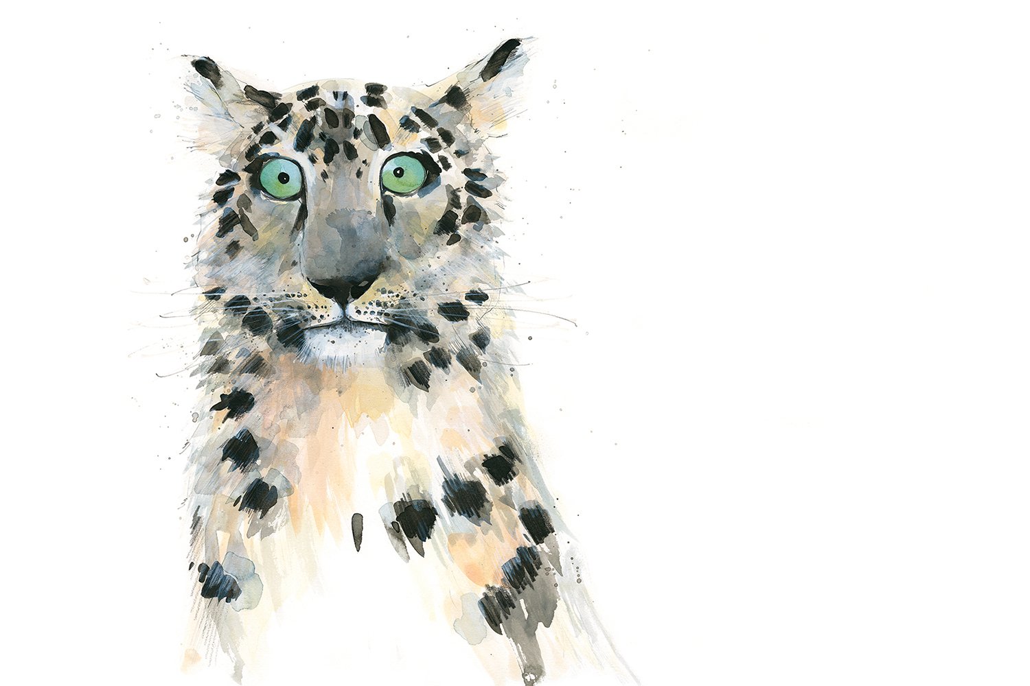 Snow Leopard