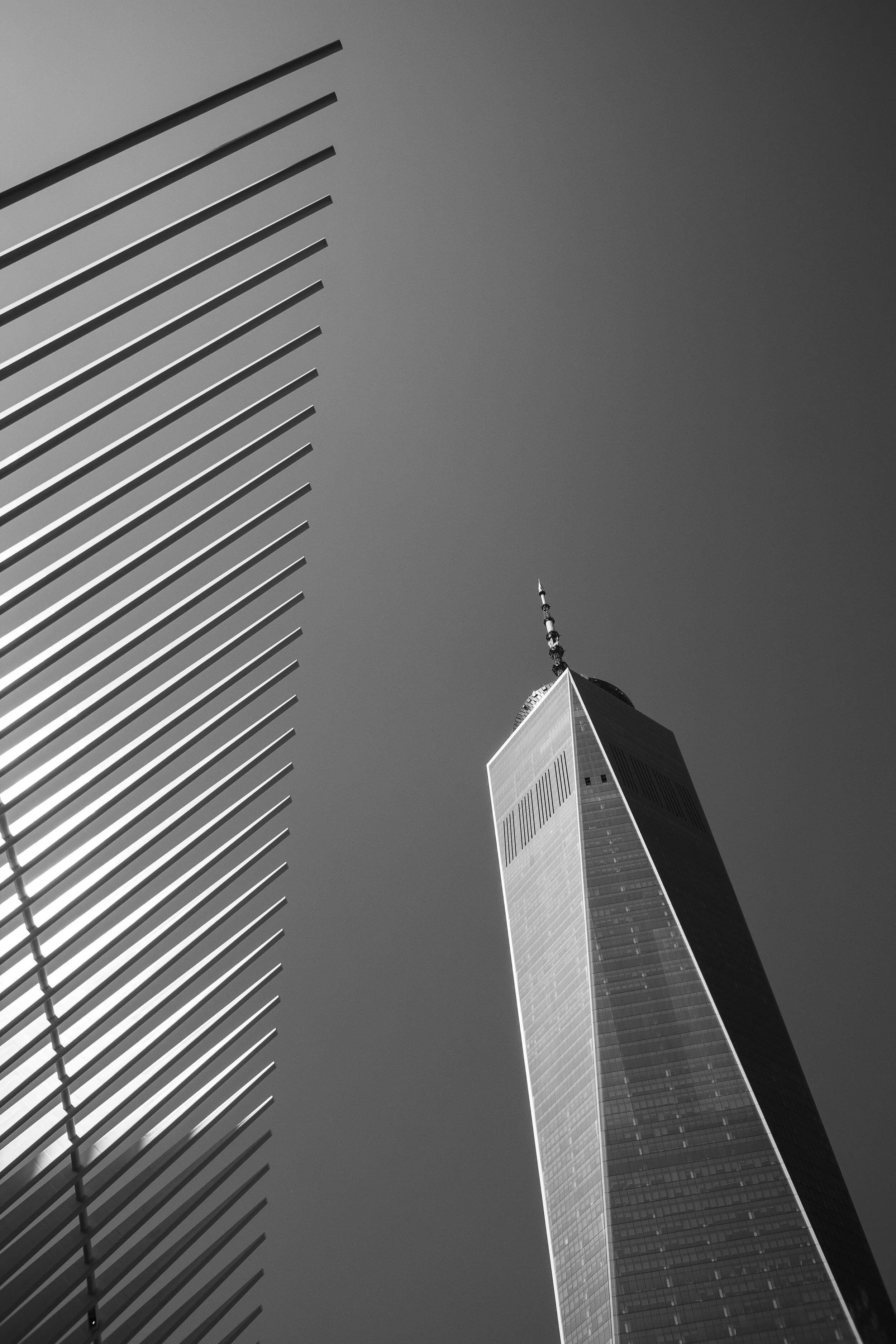 DSCF0678.JPG
