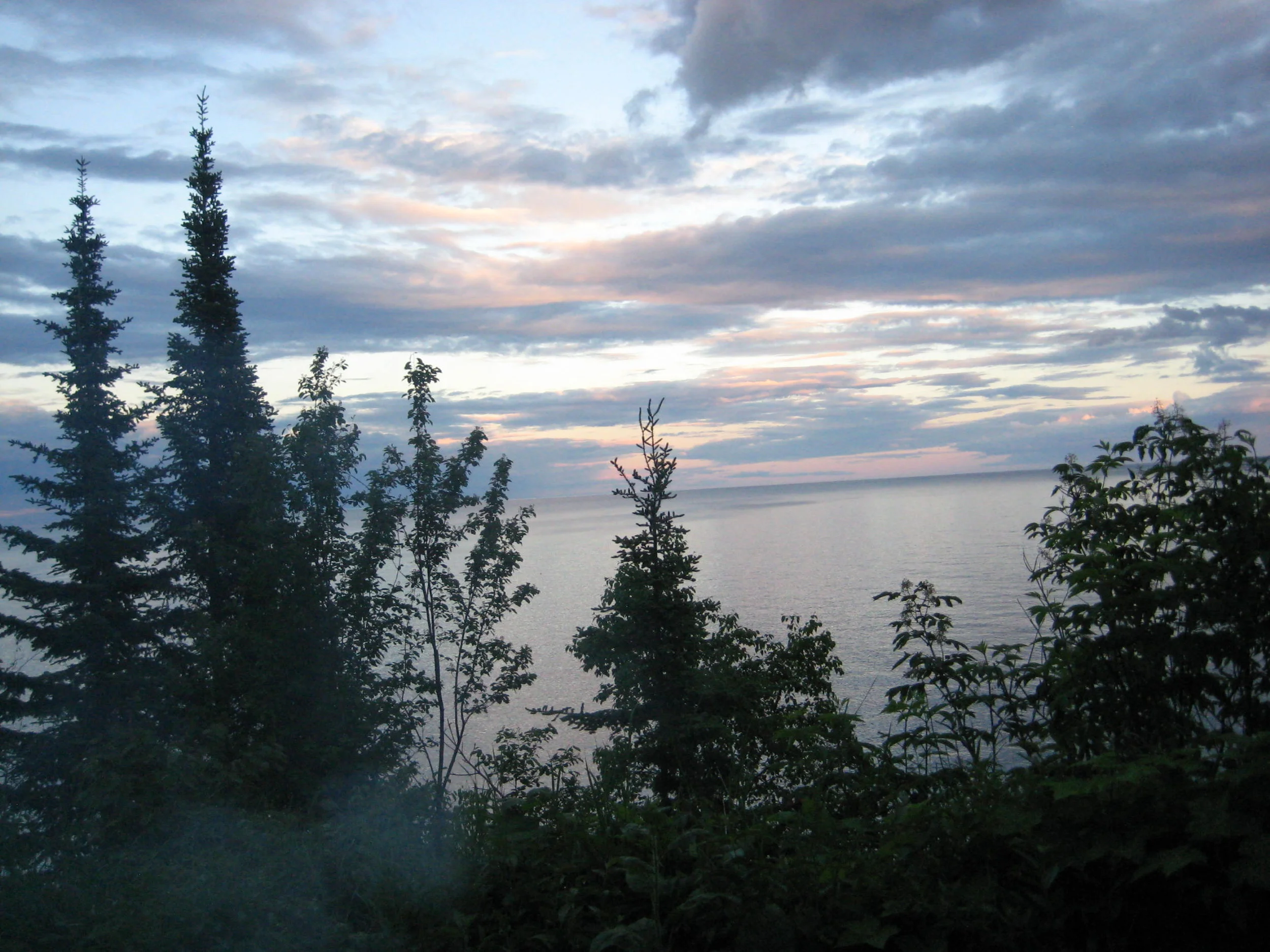 IMG_5341.JPG