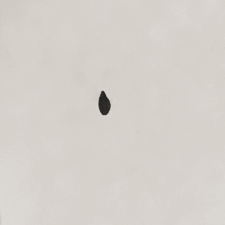 avo.gif
