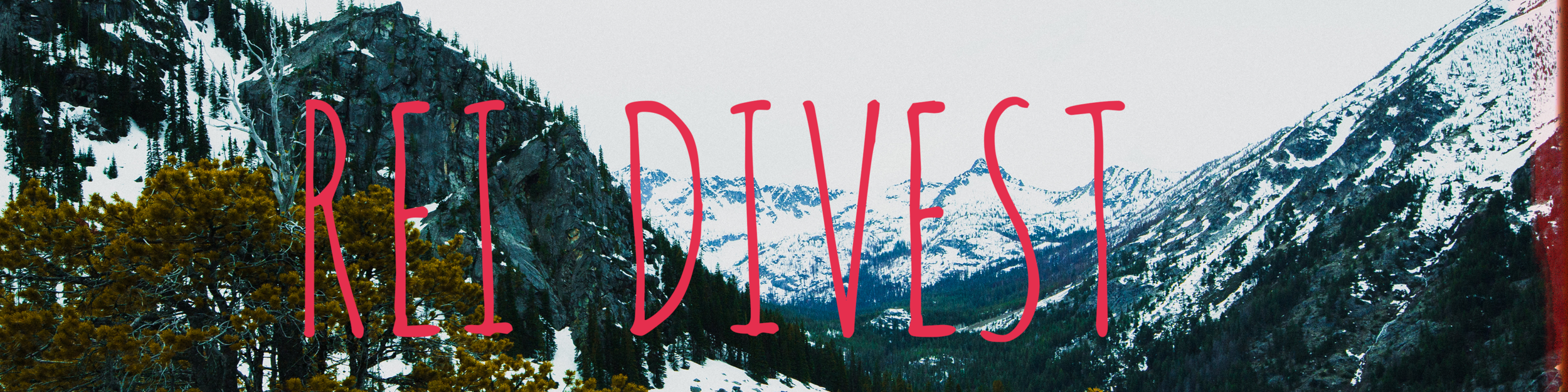 rei divest .png