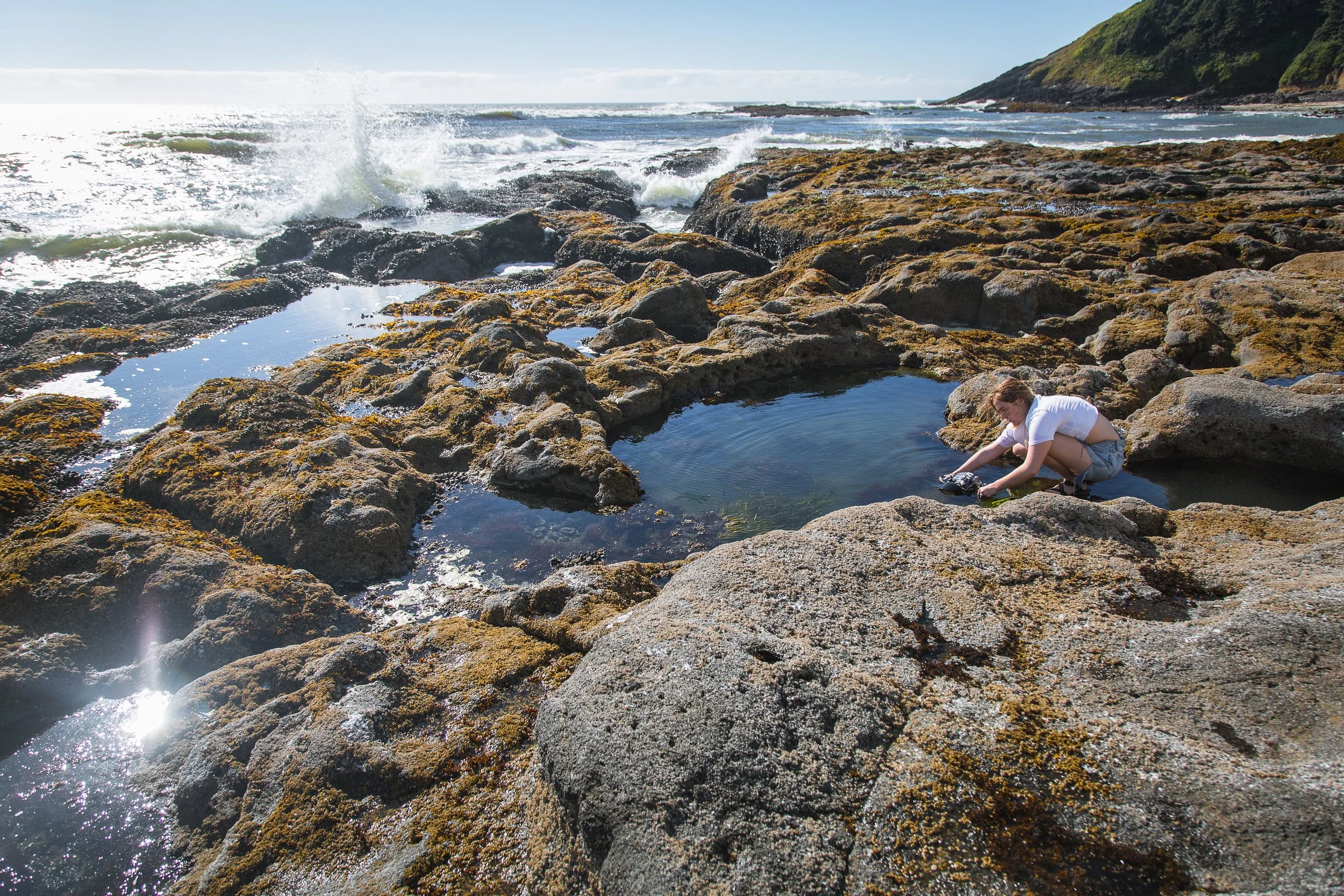 JessicaSmith_Science and Memory EDITS-1.jpg