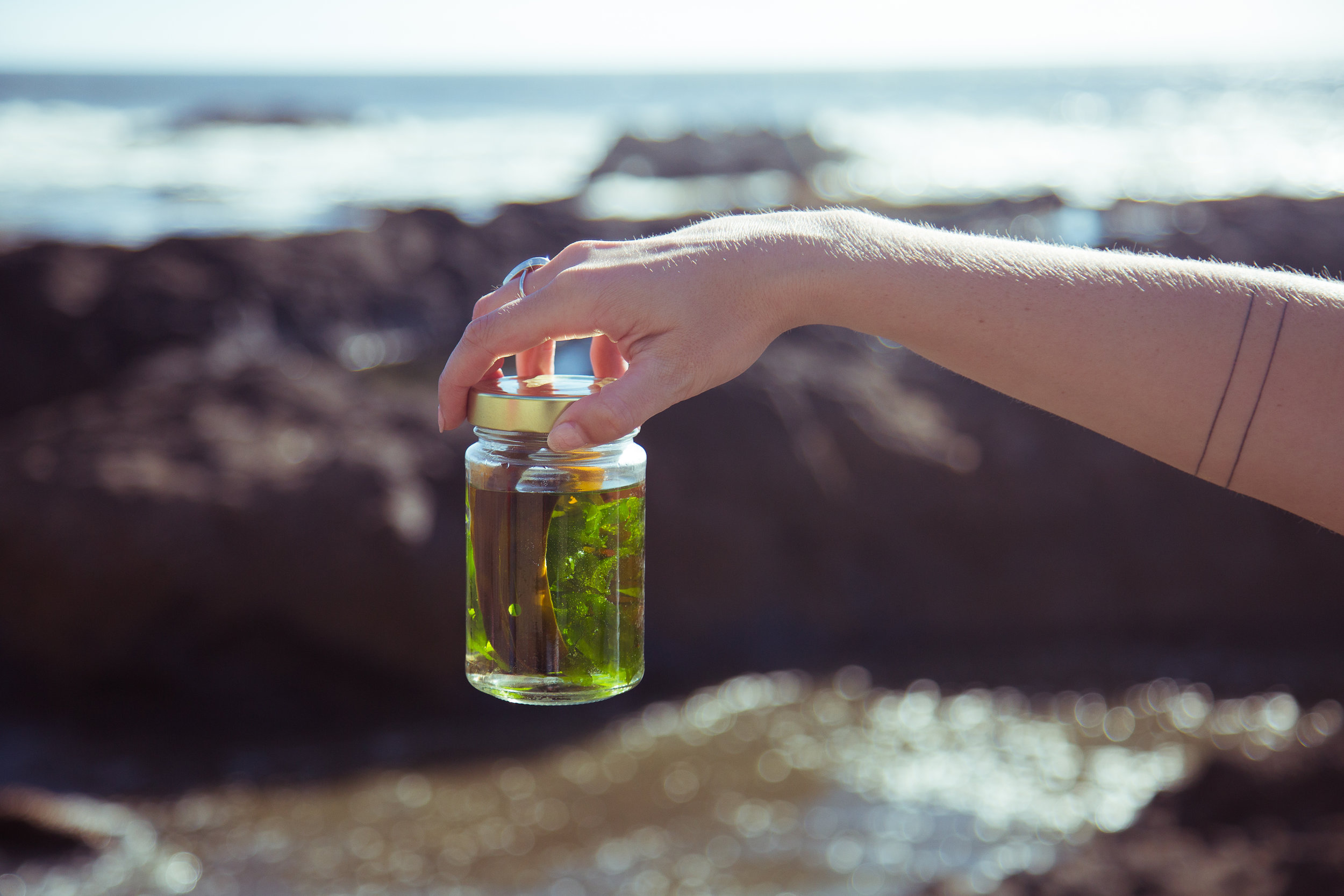 JessicaSmith_Science and Memory EDITS-2.jpg