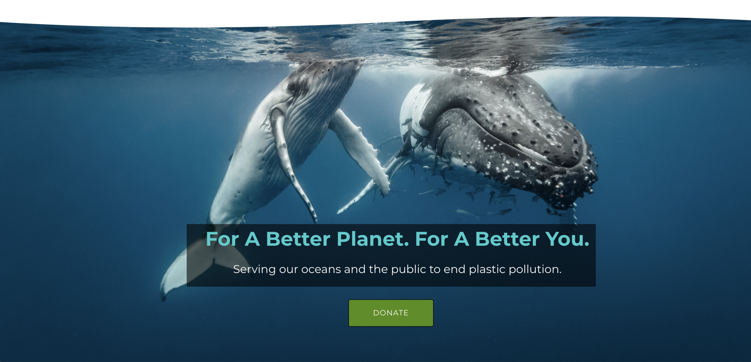Screen Shot 2019-06-22 at 12.09.02 PM.png