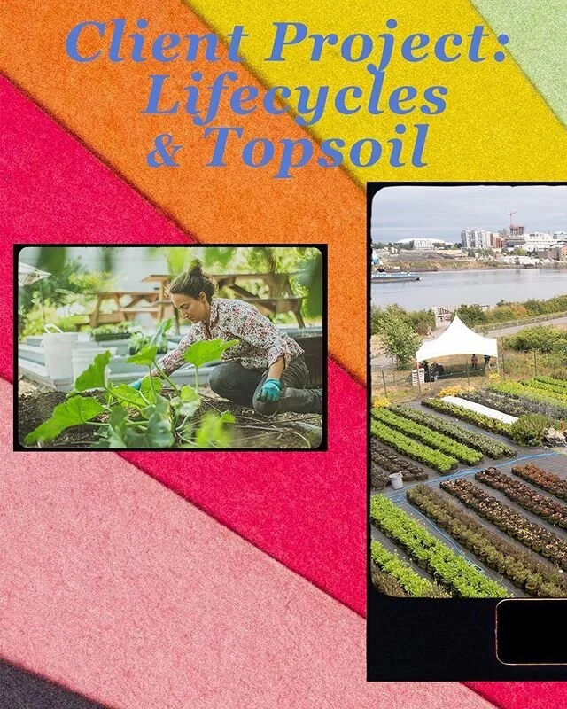 Client project: Lifecycles is a community organization that connects people to the food they eat, and the land that is comes from. @Lifecyclesproject teamed up with an innovative urban agriculture project company Topsoil (@topsoileatlocal) to bring a