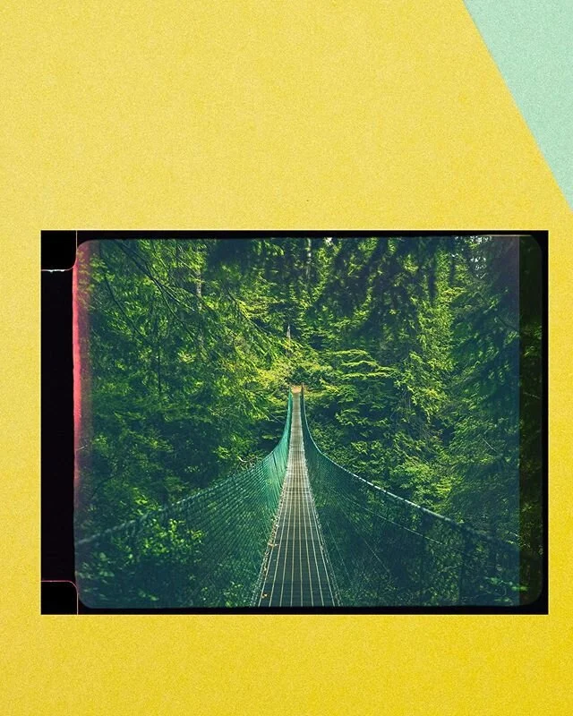 Nature sends us invitations, look closely or you may miss them. The speckled light at the end of a suspension bridge. A cool breeze rustling the hillside. The friendly song birds or the far cry of the wolf. It’s among us, it’s around us,