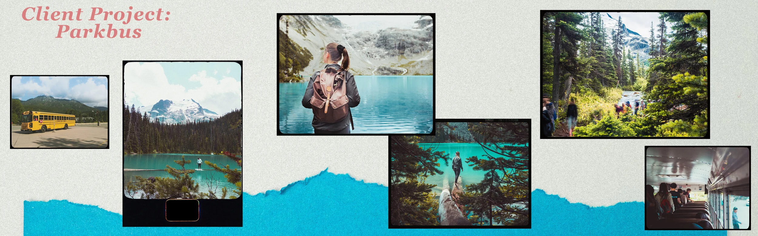 ClientProject-parkbus.jpg