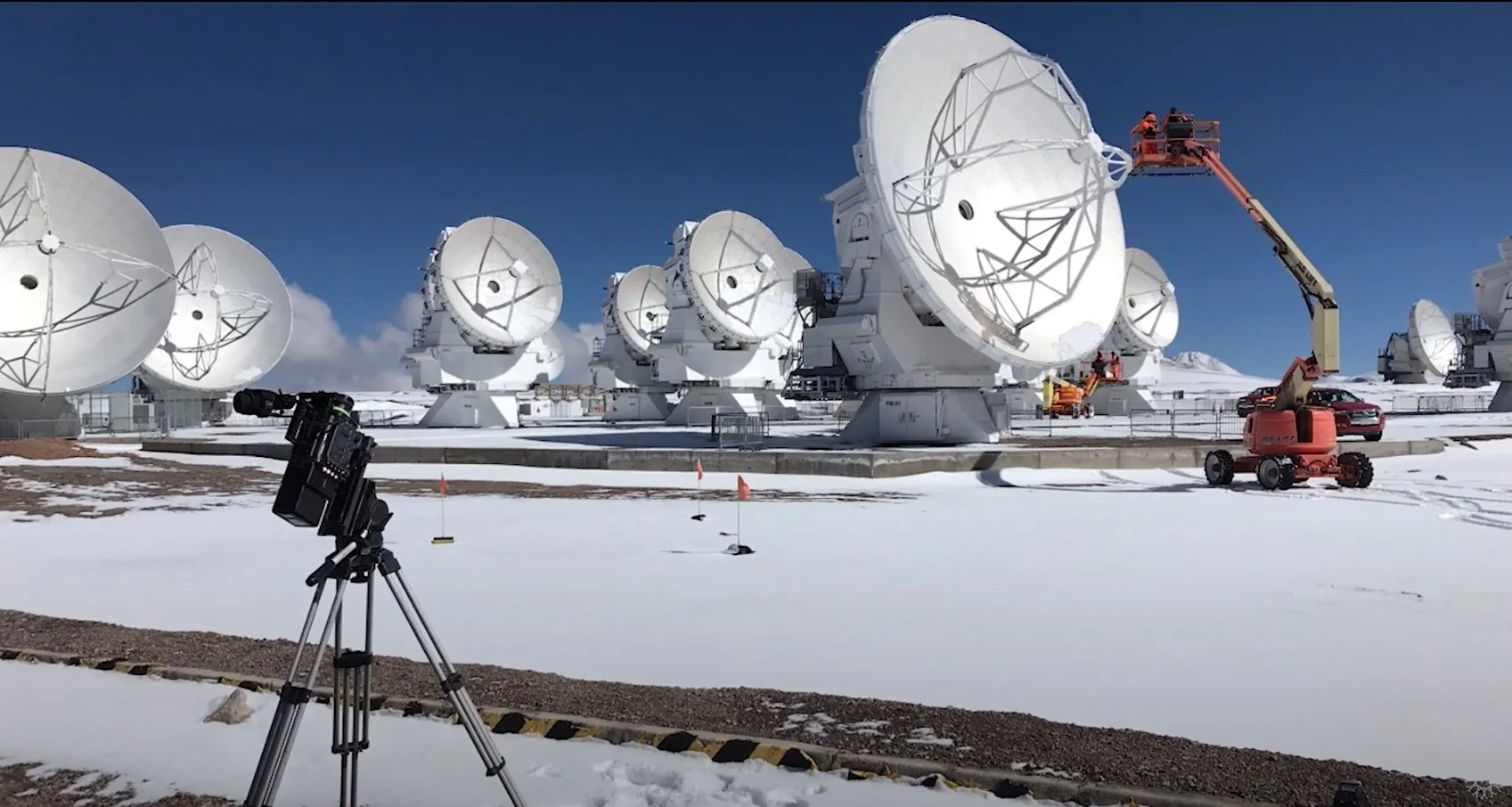 California Academy of Sciences: BTS