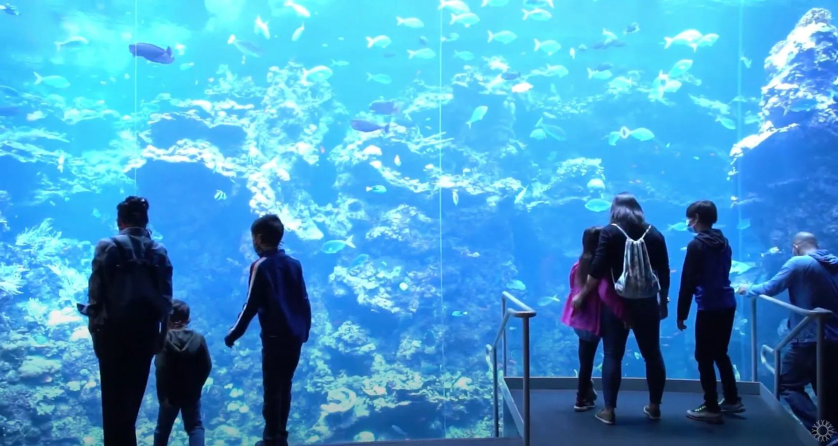 Museum Reopening: Client Project