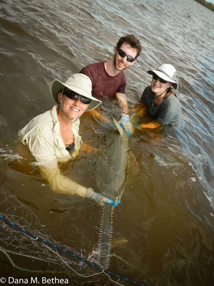 ESA Permit: 047-2012-01-004