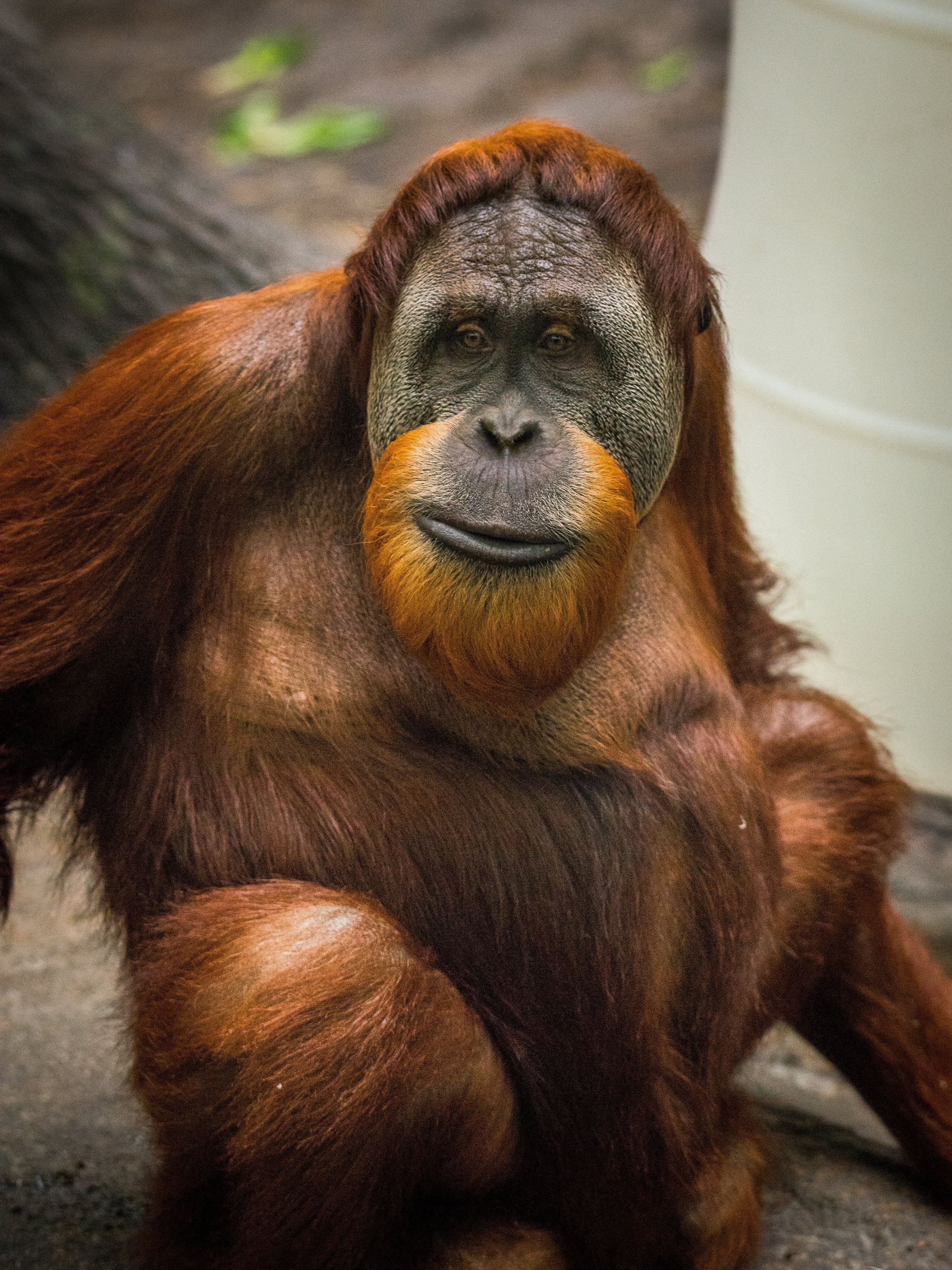 DSC_6025-small.jpg