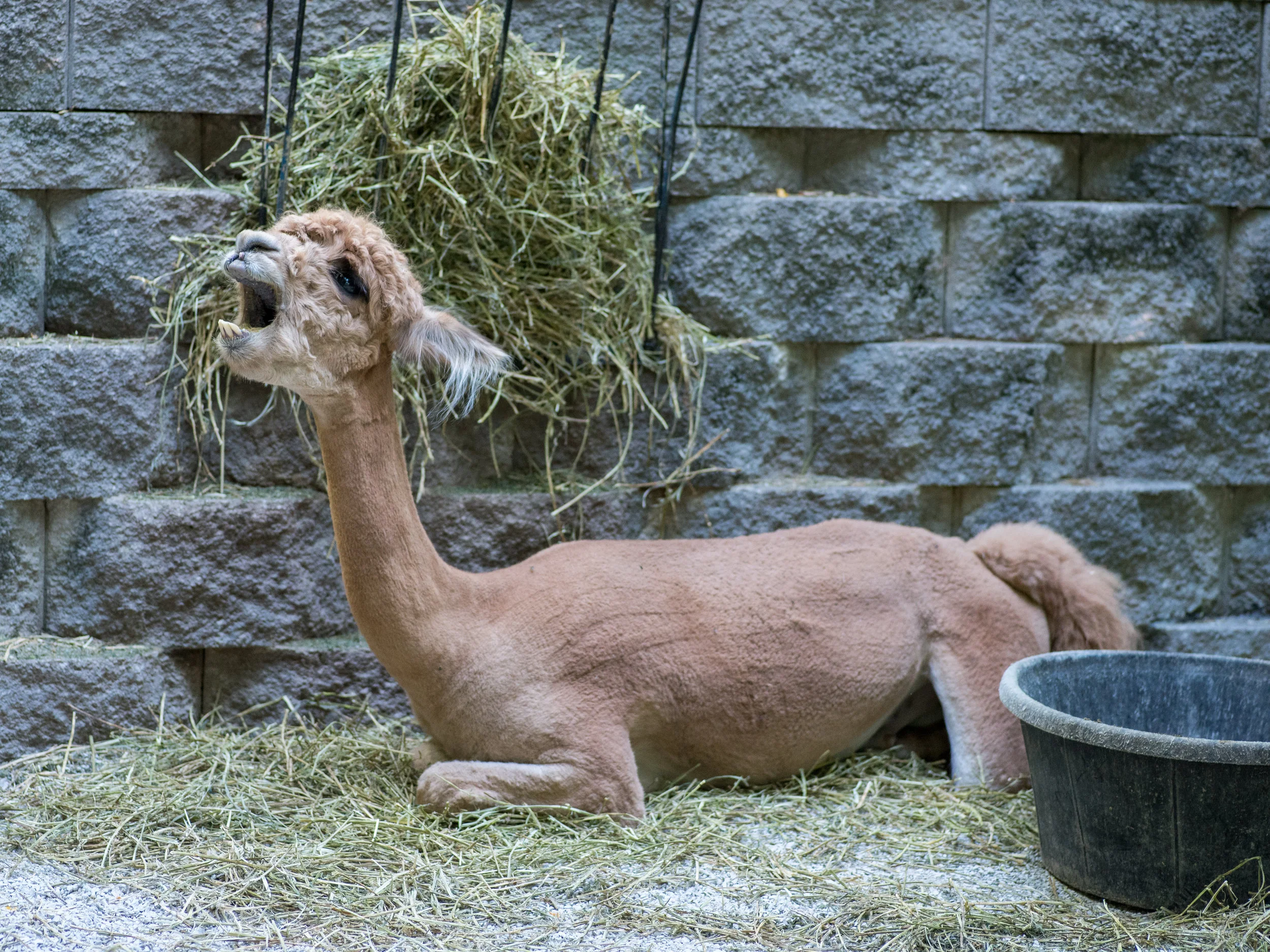 DSC_1891.jpg
