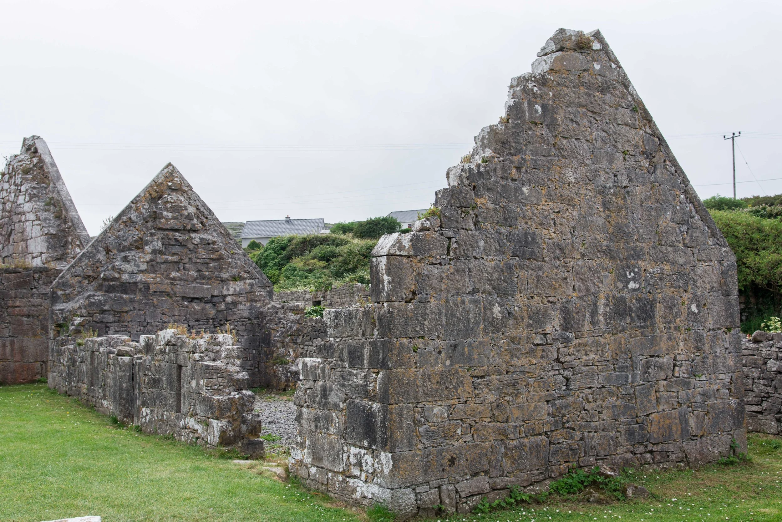 DSC_8238.jpg