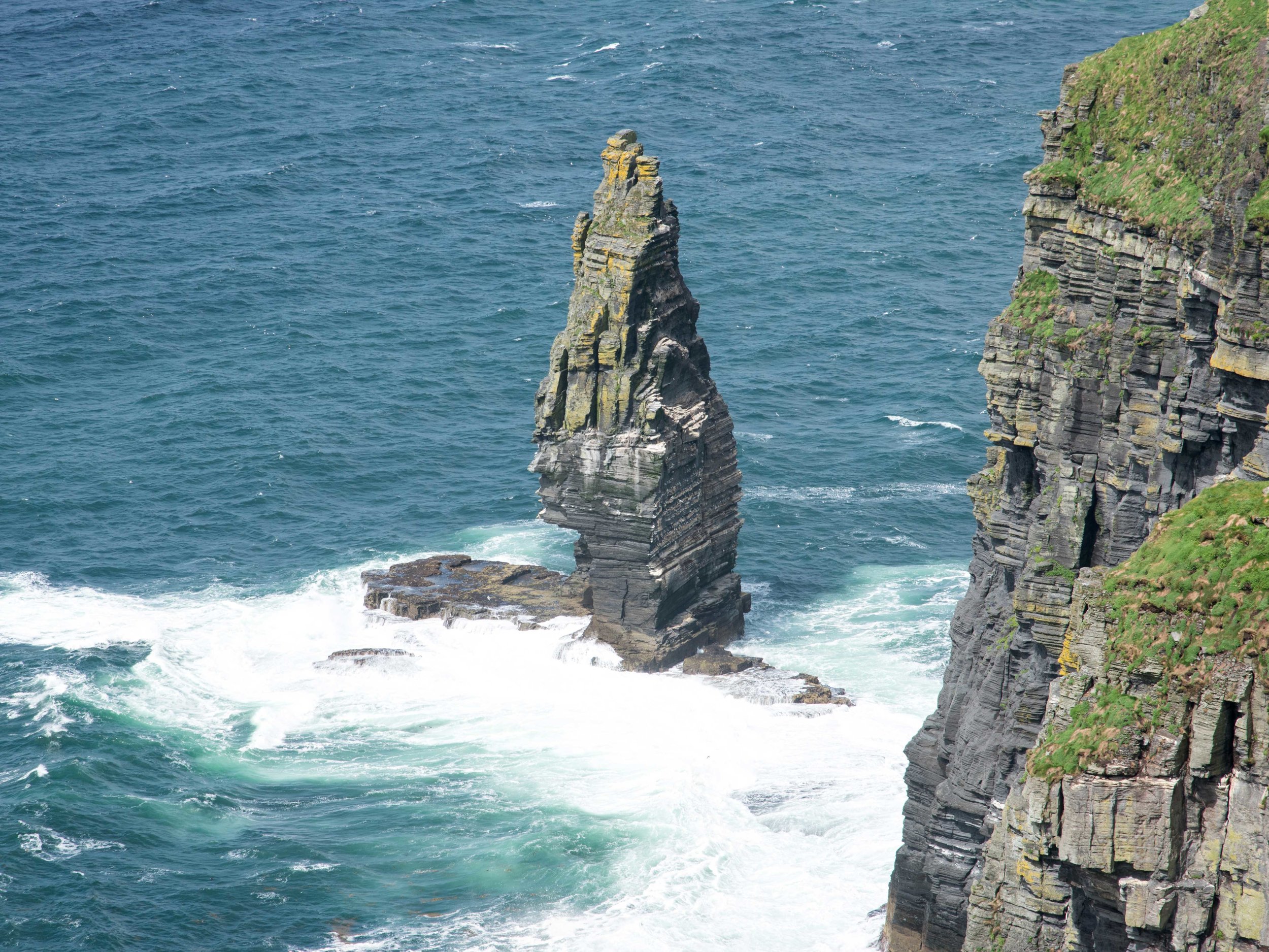 DSC_8388.jpg