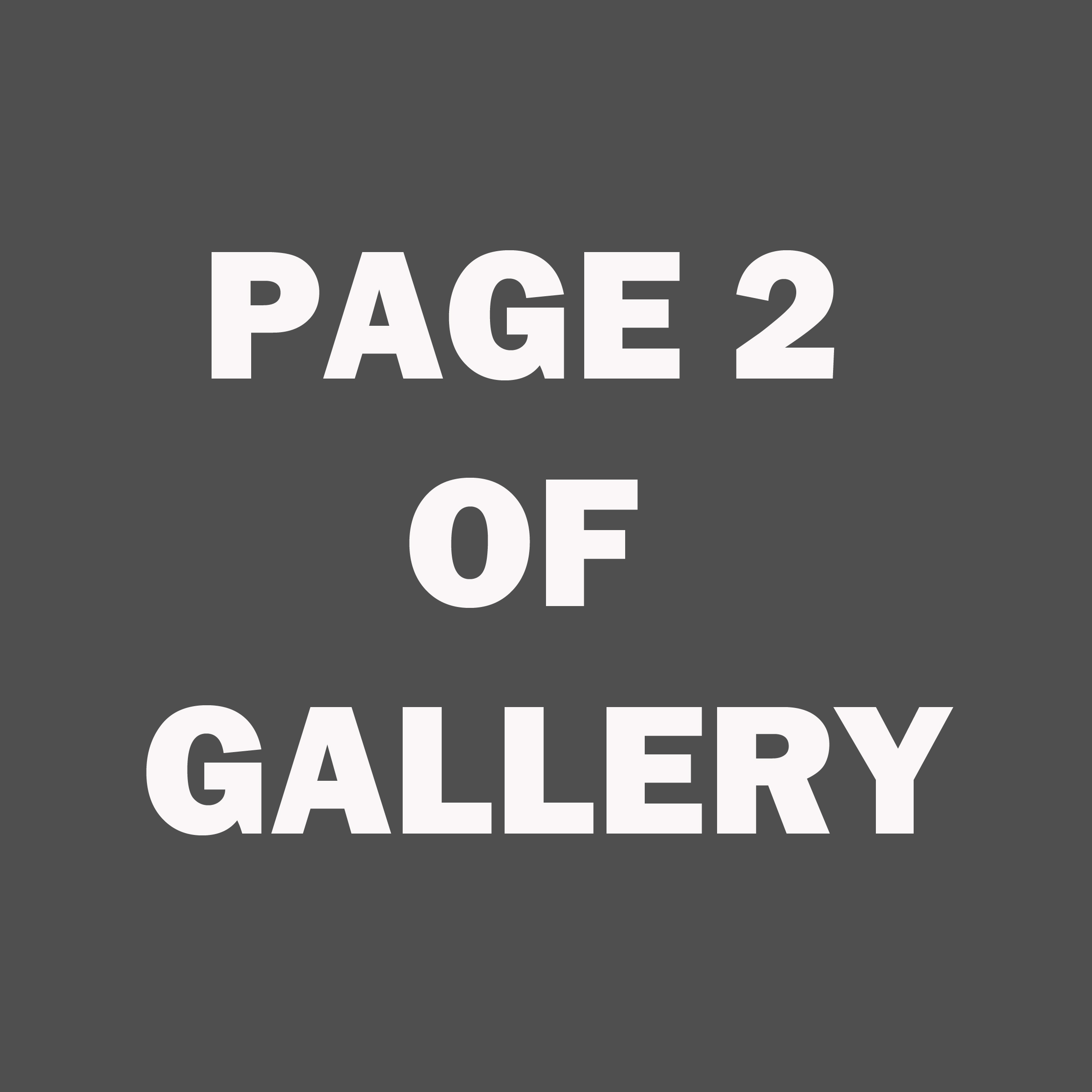 page-2.jpg