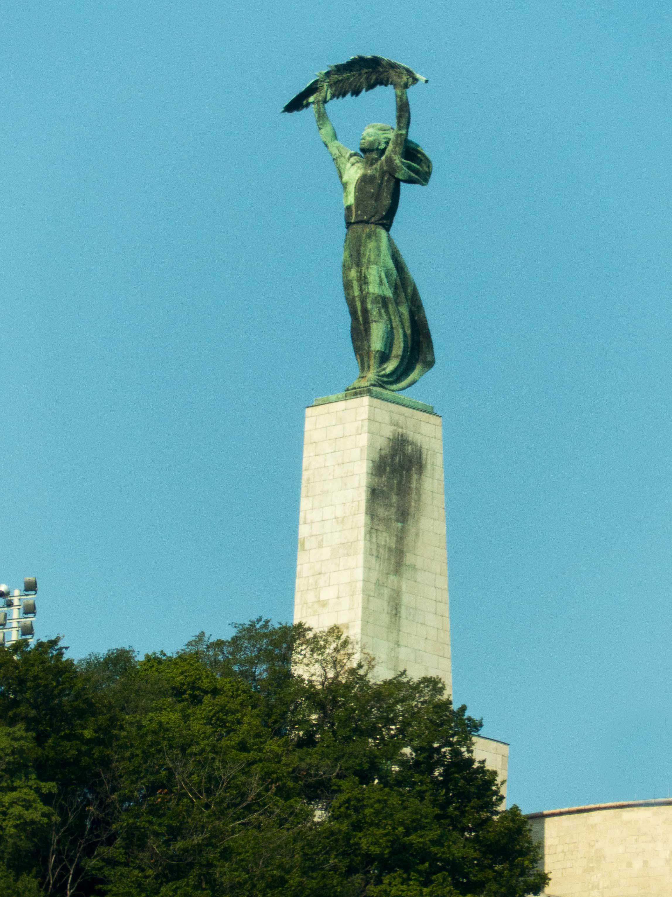 P1060446.jpg