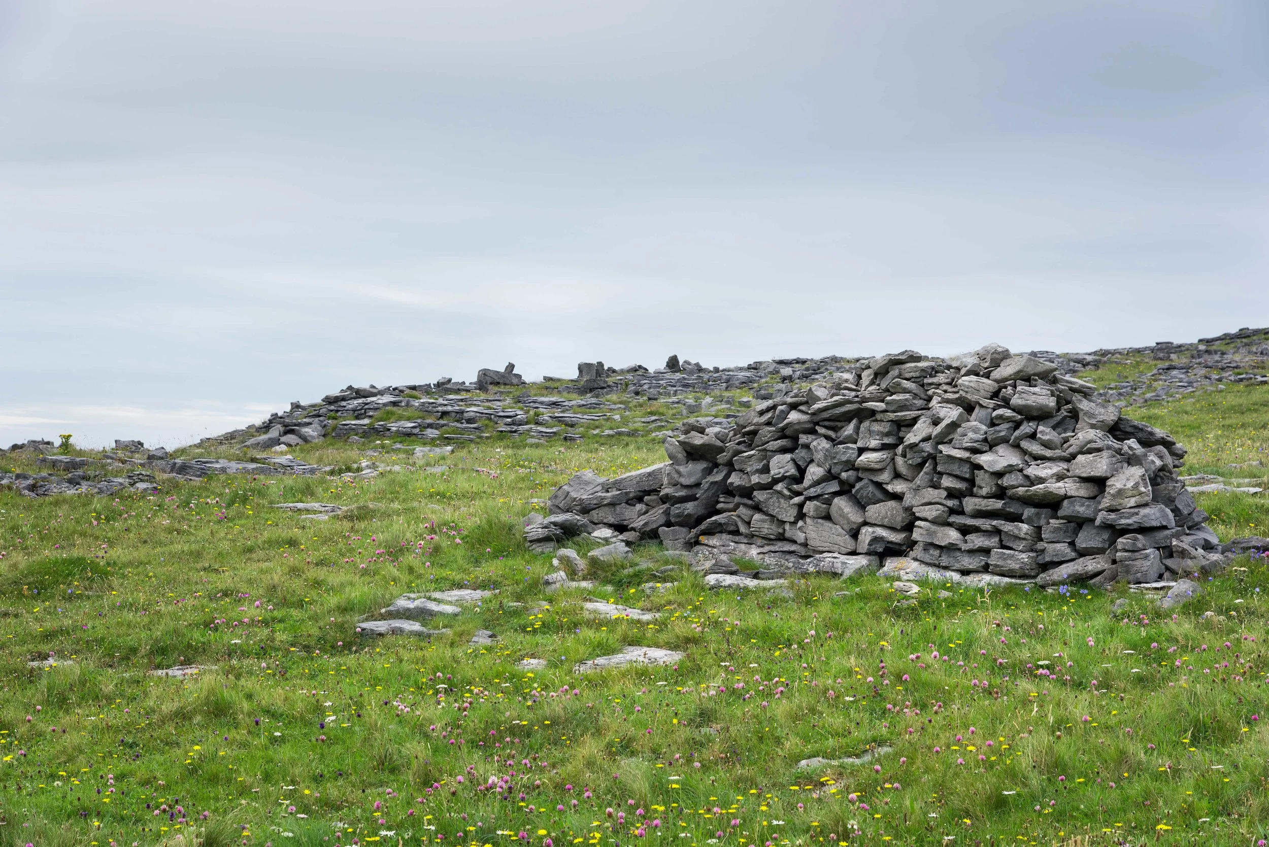 DSC_8224.jpg