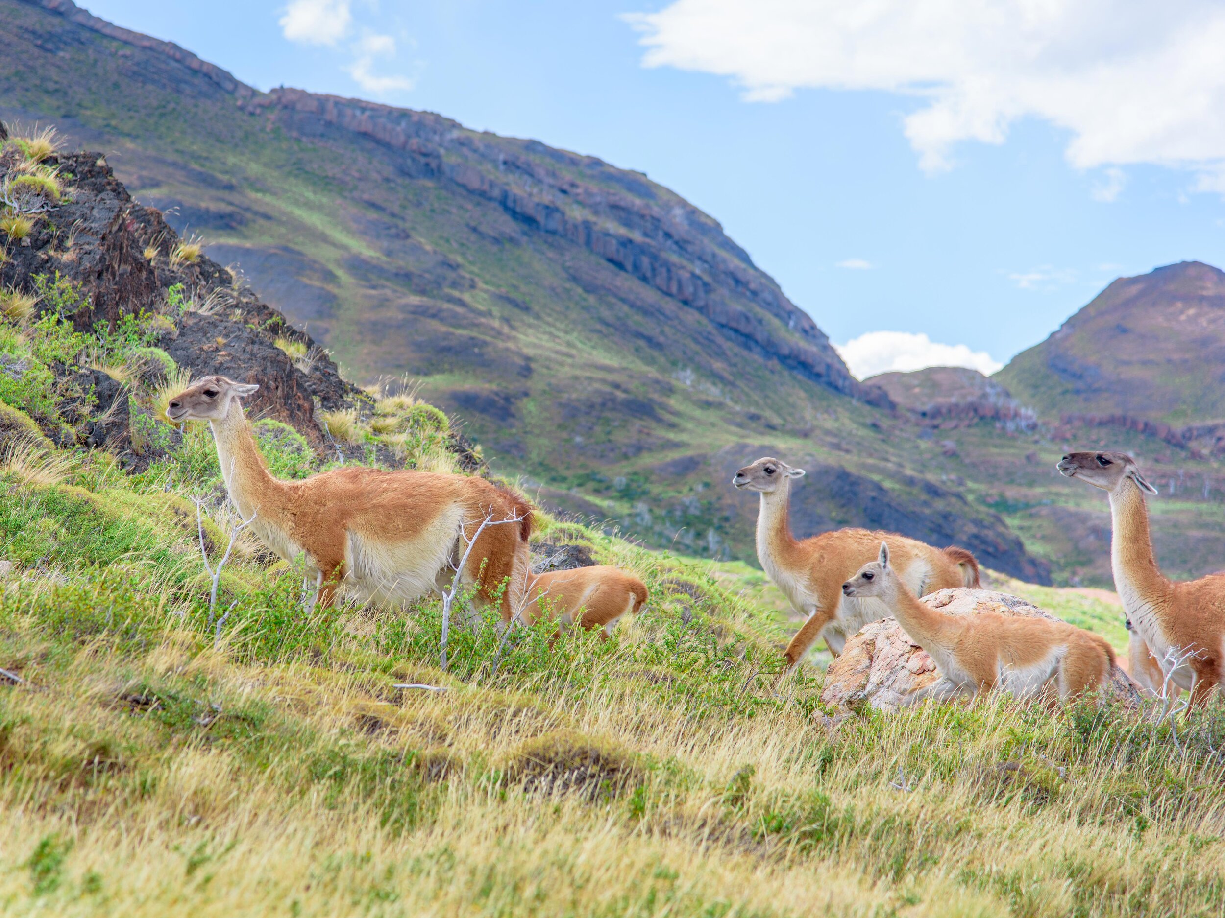 DSC_7103-3.jpg