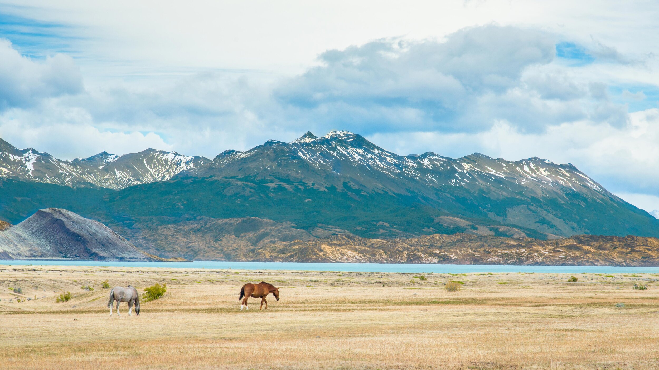 DSC_8007-3.jpg
