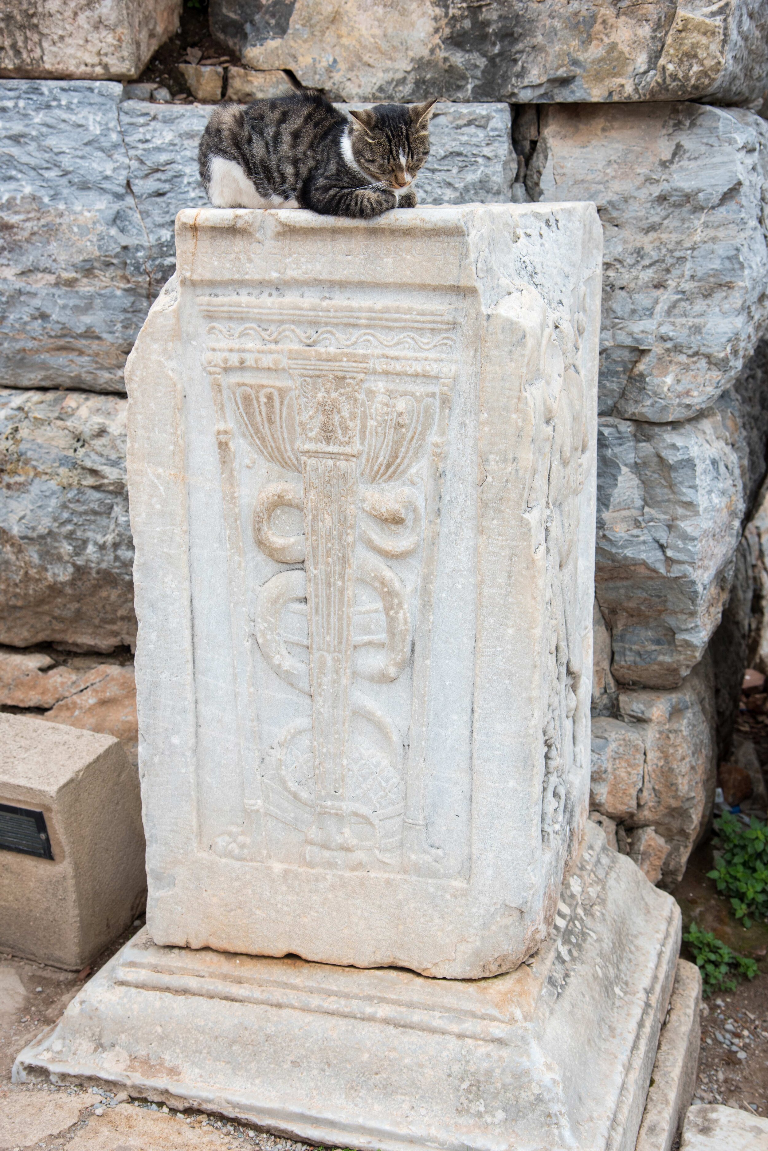 DSC_1689.jpg