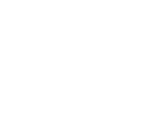 Ethica Partners