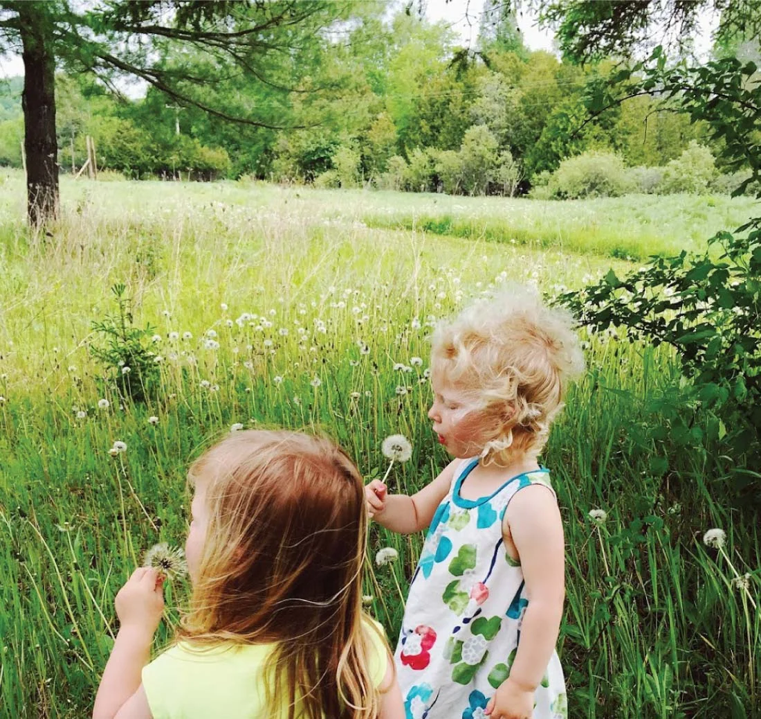 Exploring the Beautiful Parks and Natural Areas of the Leelanau Peninsula