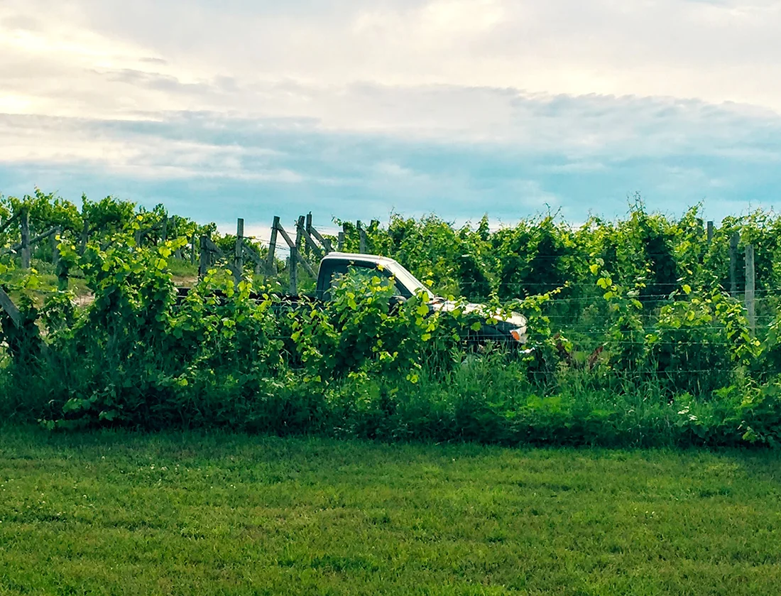 Obstacle to Opportunity: A Book, a Blog, a Parable, and a Podcast to Help Get Unstuck