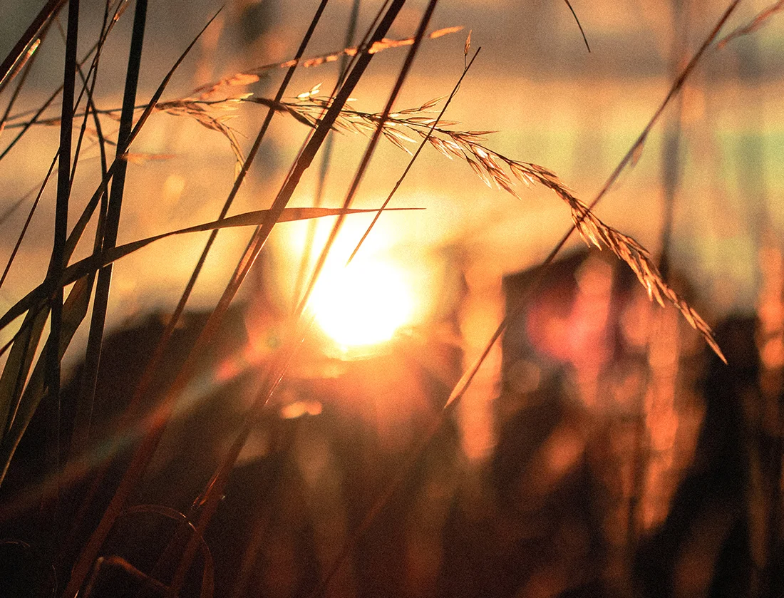 The Magic of Early Morning