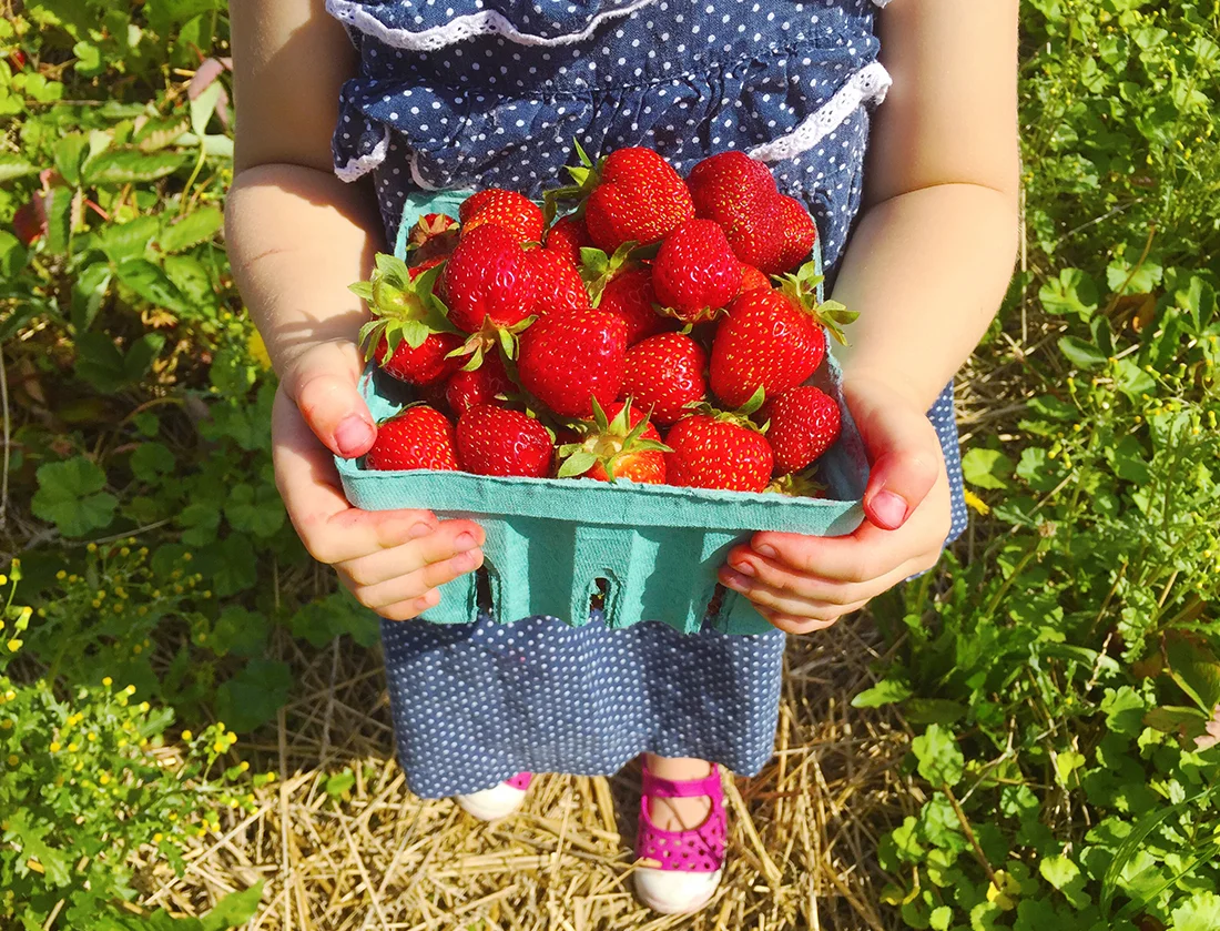 Berries, Beaches and the Beauty of a Simple Summer 