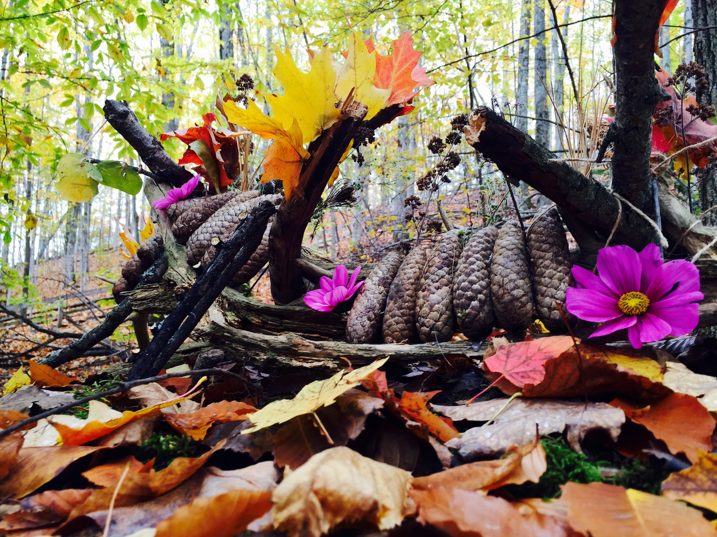 Announcing Fairy Fest 2017: Come Out and Celebrate with Life and Whim at Traverse City’s Fairy Trails