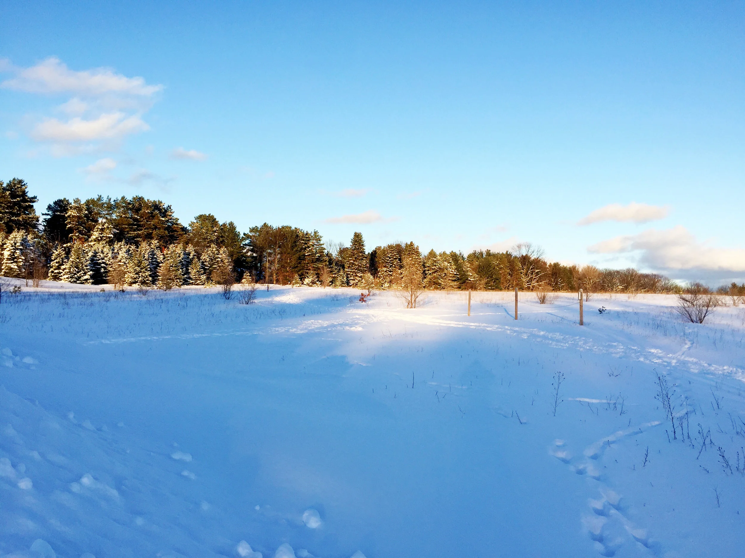 Simple Question – What’s the Best Thing That Happened to You Today?