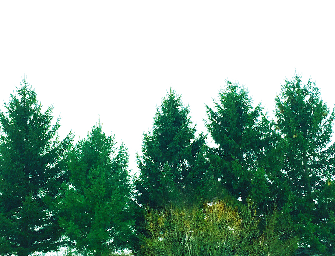 Stop Making Resolutions (and Just Start!)