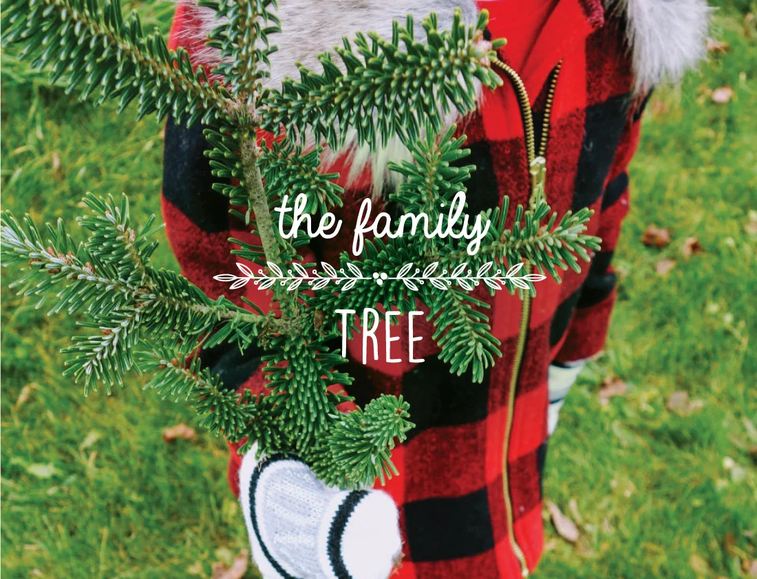 Lifeandwhim-christmastreefarms-holidaytraditions.jpg