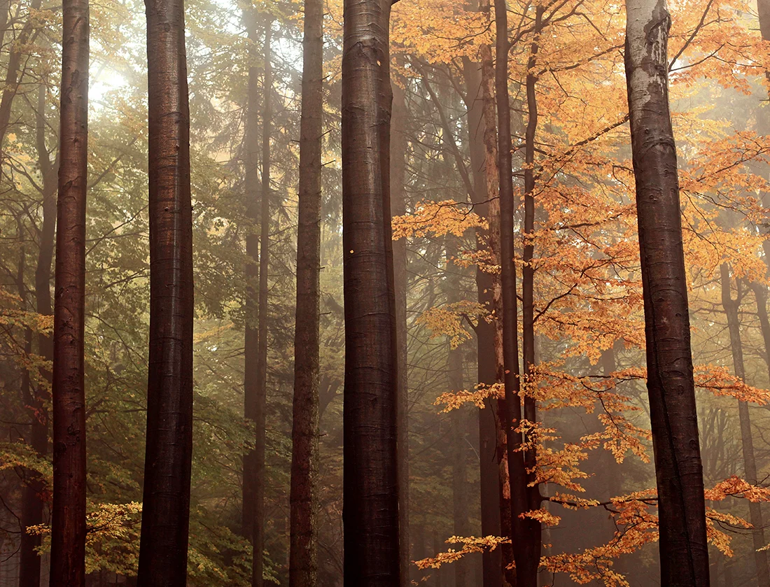 For the Holidays (and All Year Round): It’s Either a “Hell Yeah” or Say “No”