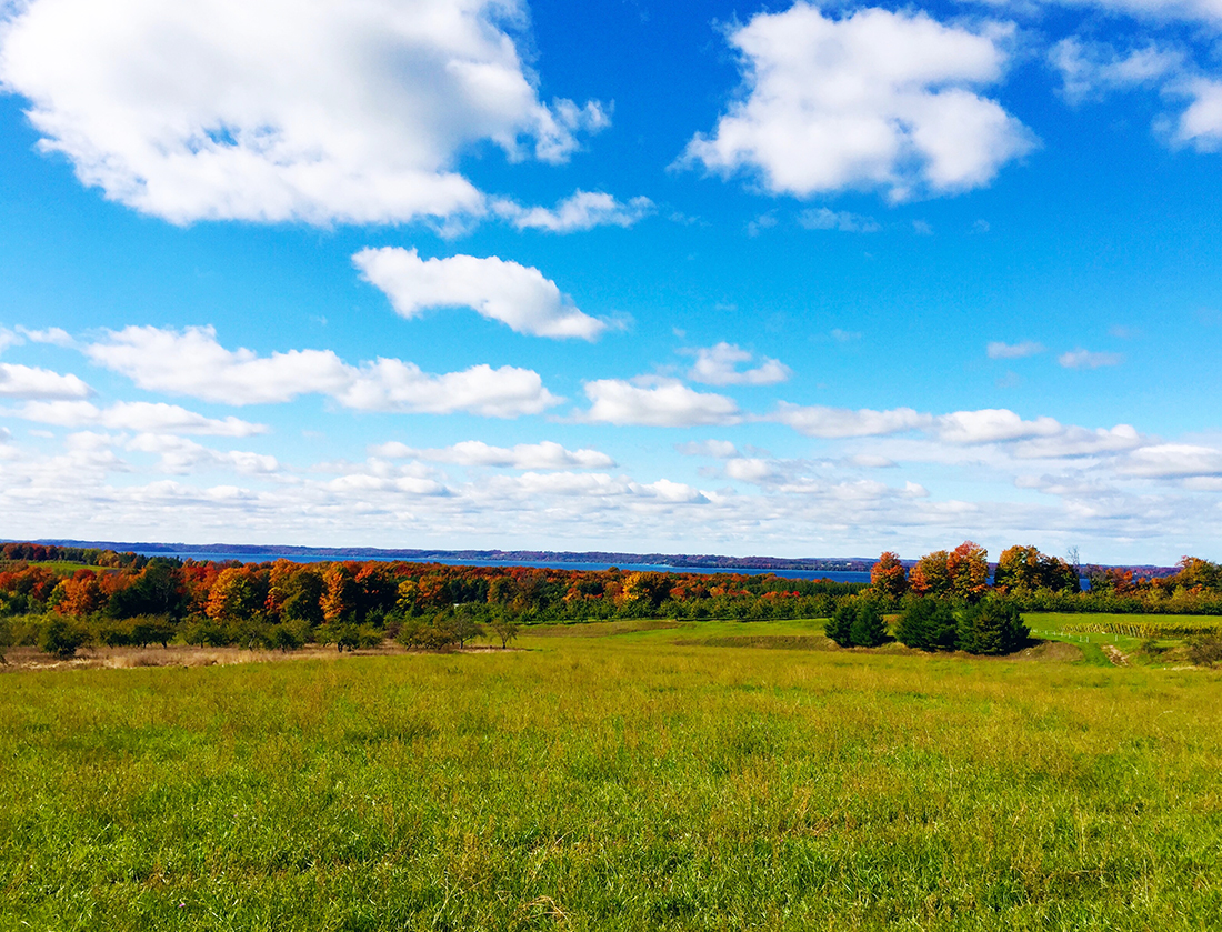 Wake Up to the Life that Lives Inside of You