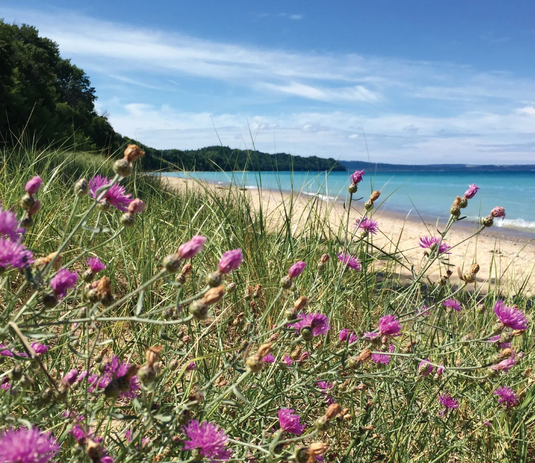 One More Shot at Summer: 5 Secluded Beaches in the Sleeping Bear Dunes