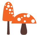 Life-and-whim-mushrooms2.png