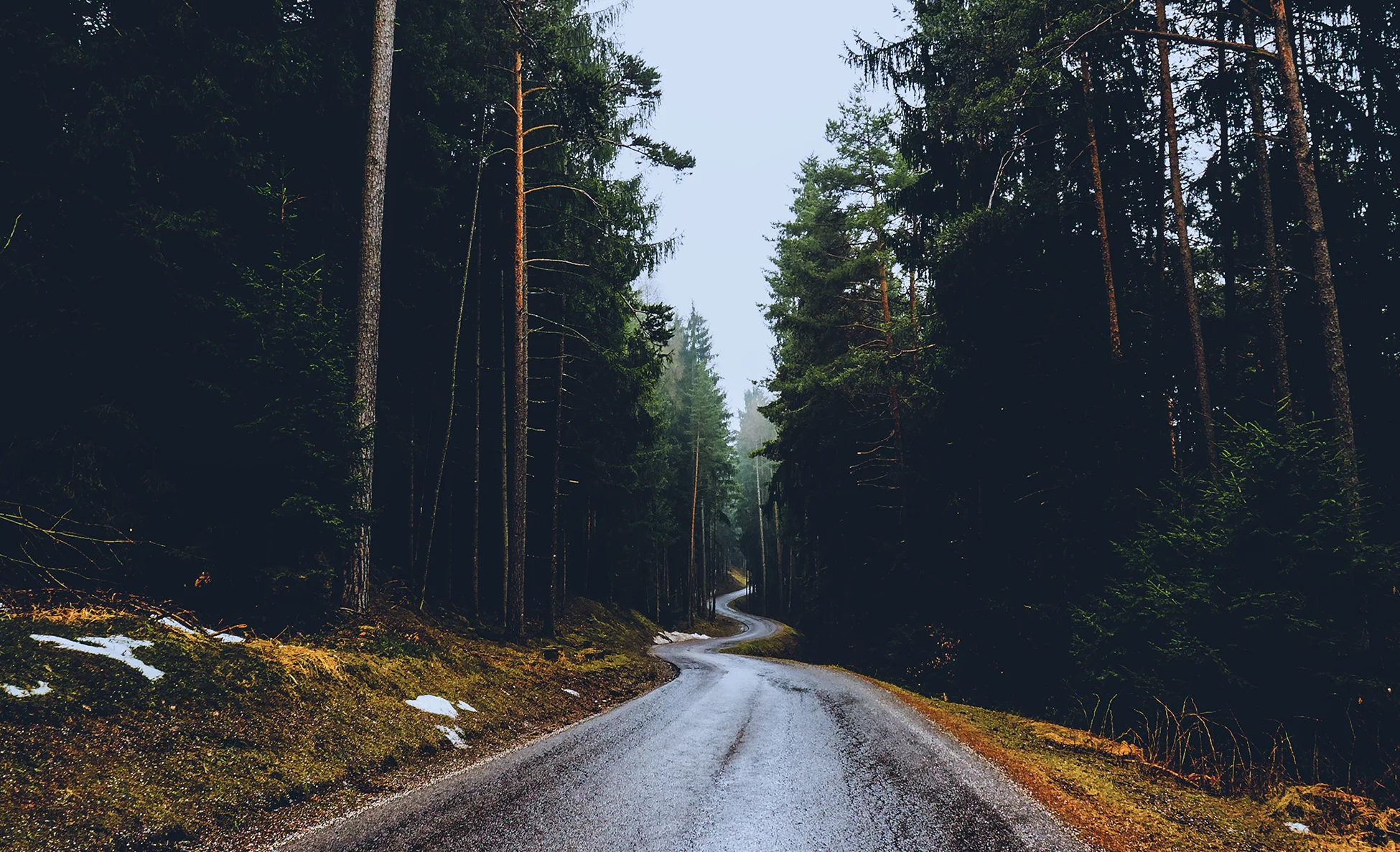 Lifeandwhim-windingroad-success.jpg