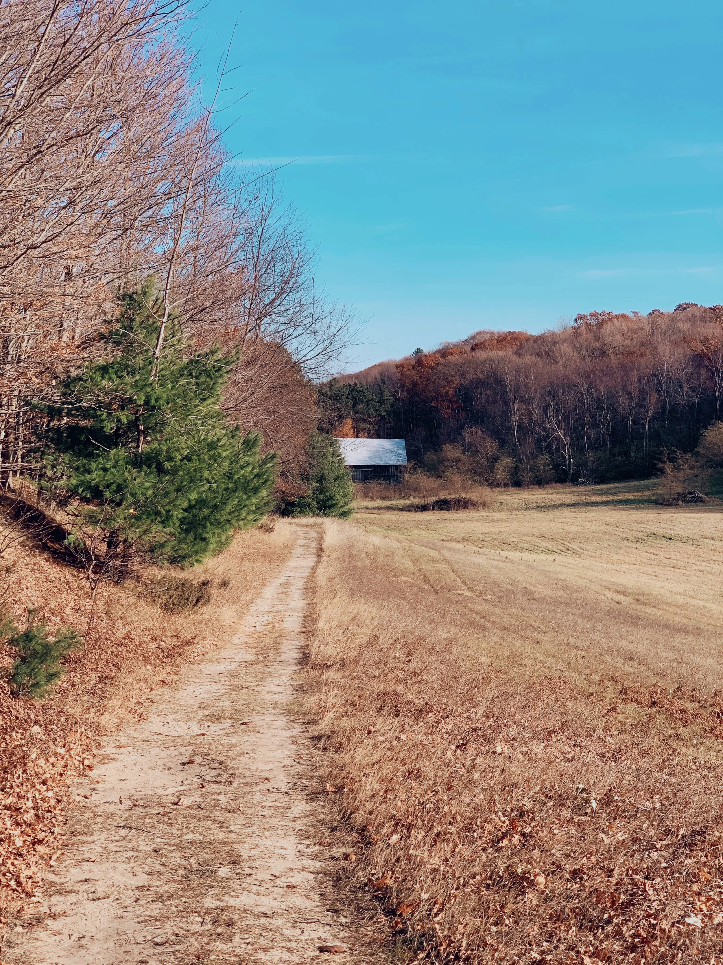 Want to Create? First, Create a Process