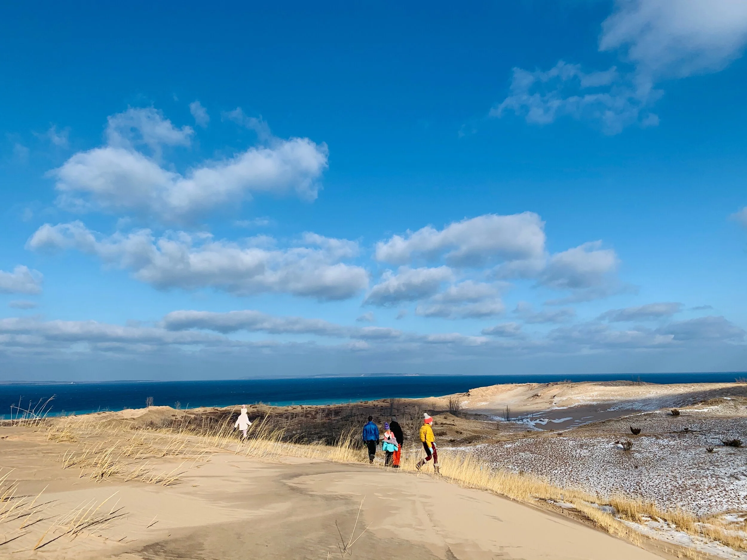 Feeding the “Good Wolf” Inside of Us