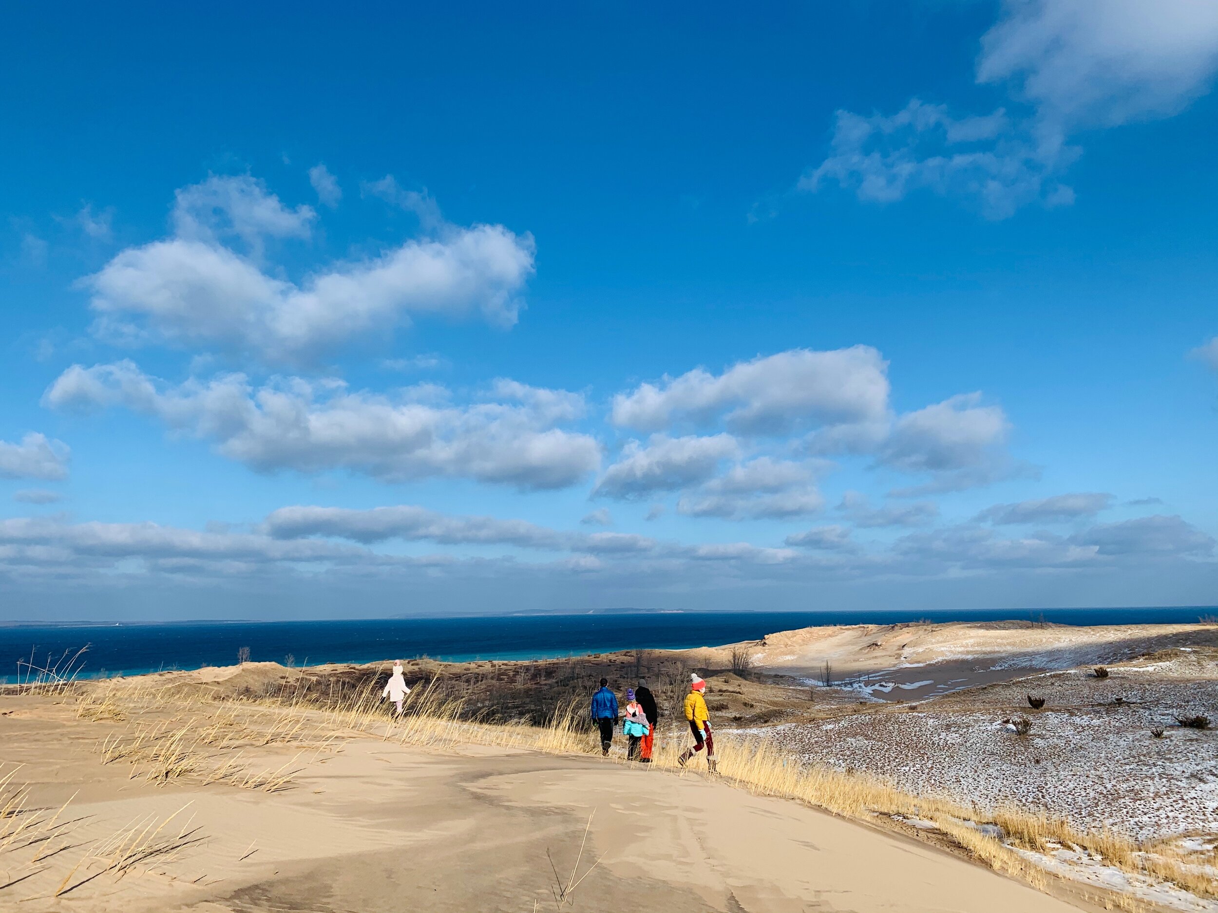 Feeding the “Good Wolf” Inside of Us