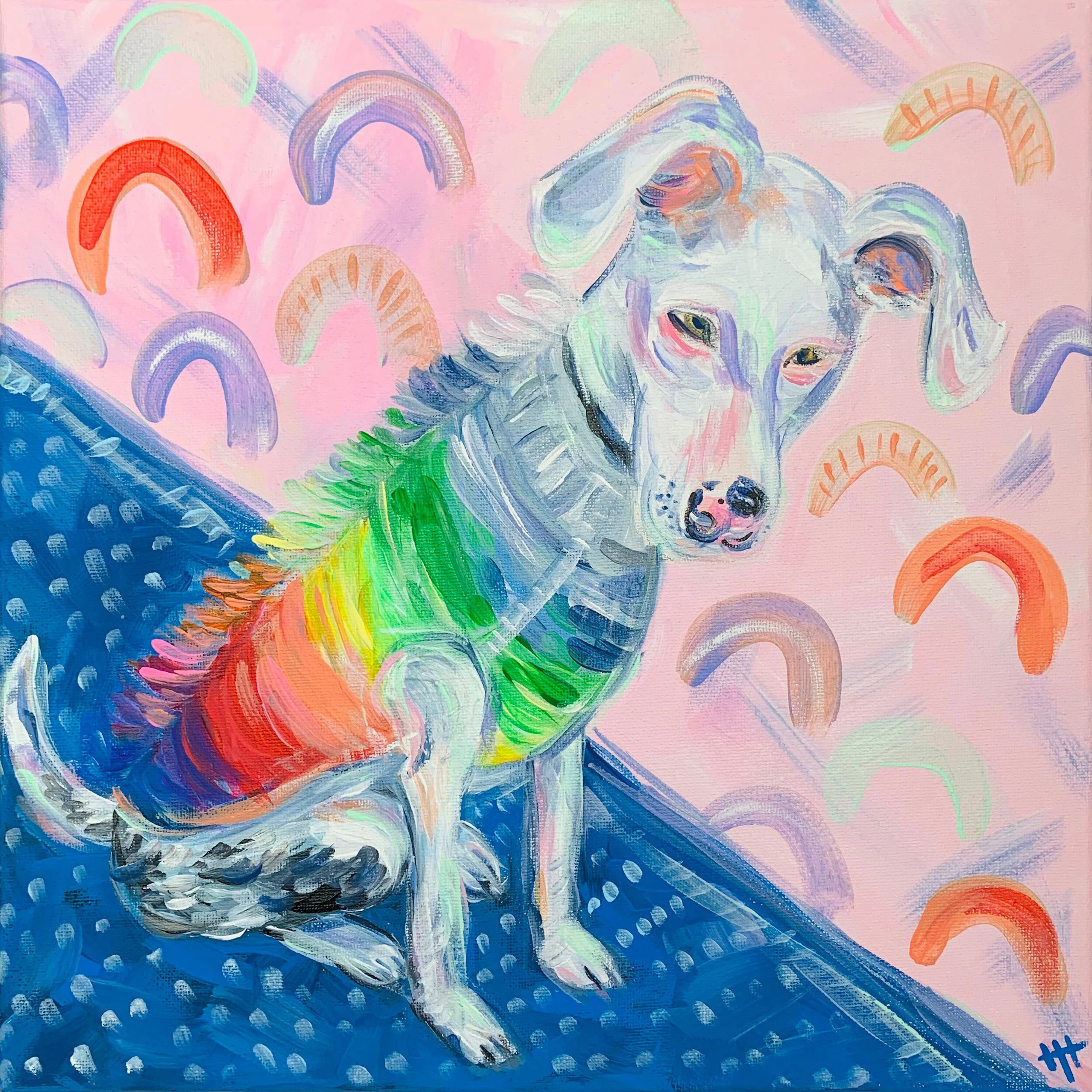 Look for the Rainbow - Pets of the Pandemic