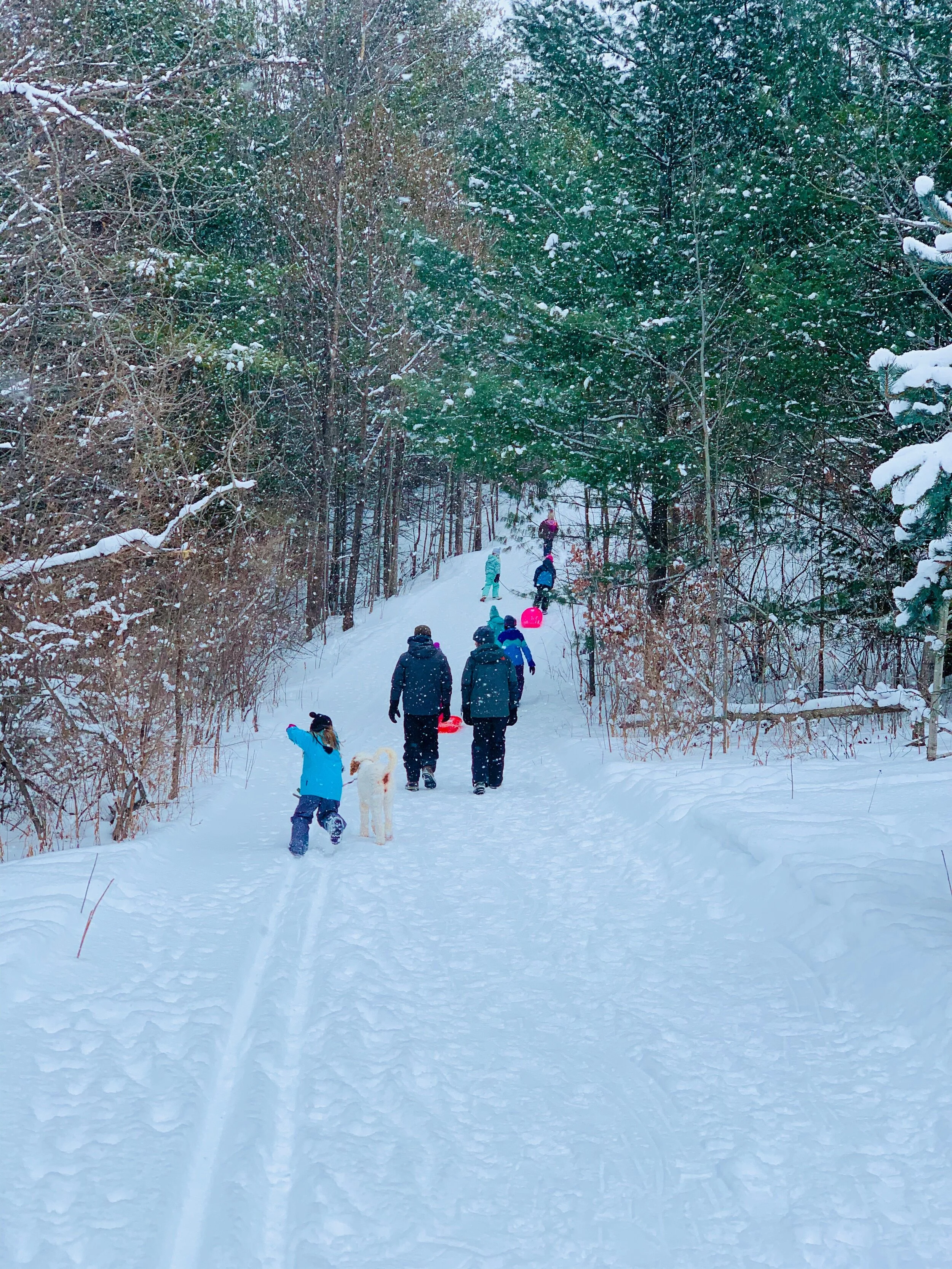 5 Simple Ways to Spend More Time Outside as a Family