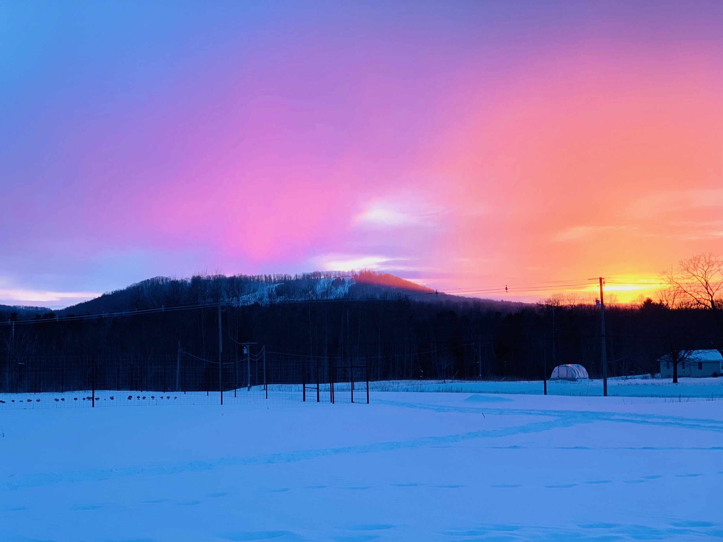 Make Better Decisions by Only Making them Once