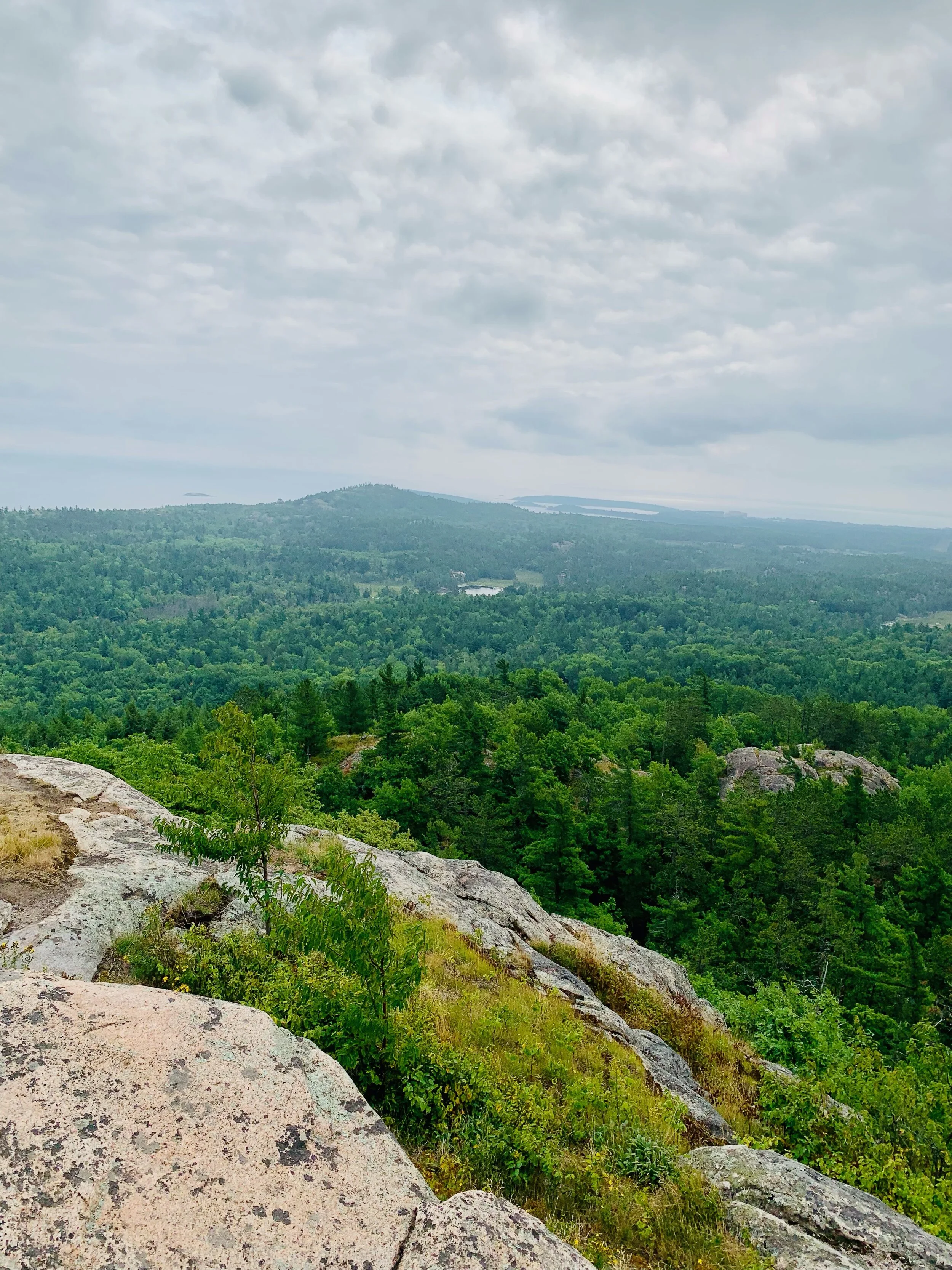 The Power of Progress